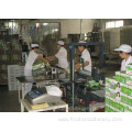 Pasteurize Mini Dairy UHT Milk Processing Line